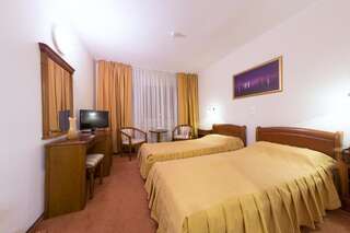 Отель Hotel Transilvania Алба-Юлия Стандартный двухместный номер 3 звезды с 1 кроватью или 2 отдельными кроватями и новогодним пакетом-2