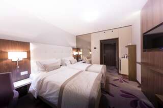 Отель Hotel Transilvania Алба-Юлия Двухместный номер Делюкс с 1 кроватью или 2 отдельными кроватями 4*-13