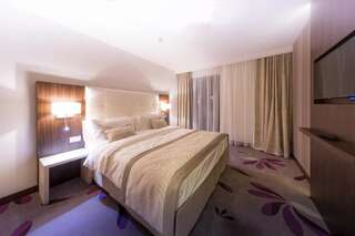 Отель Hotel Transilvania Алба-Юлия Люкс с 1 спальней - 4*-8
